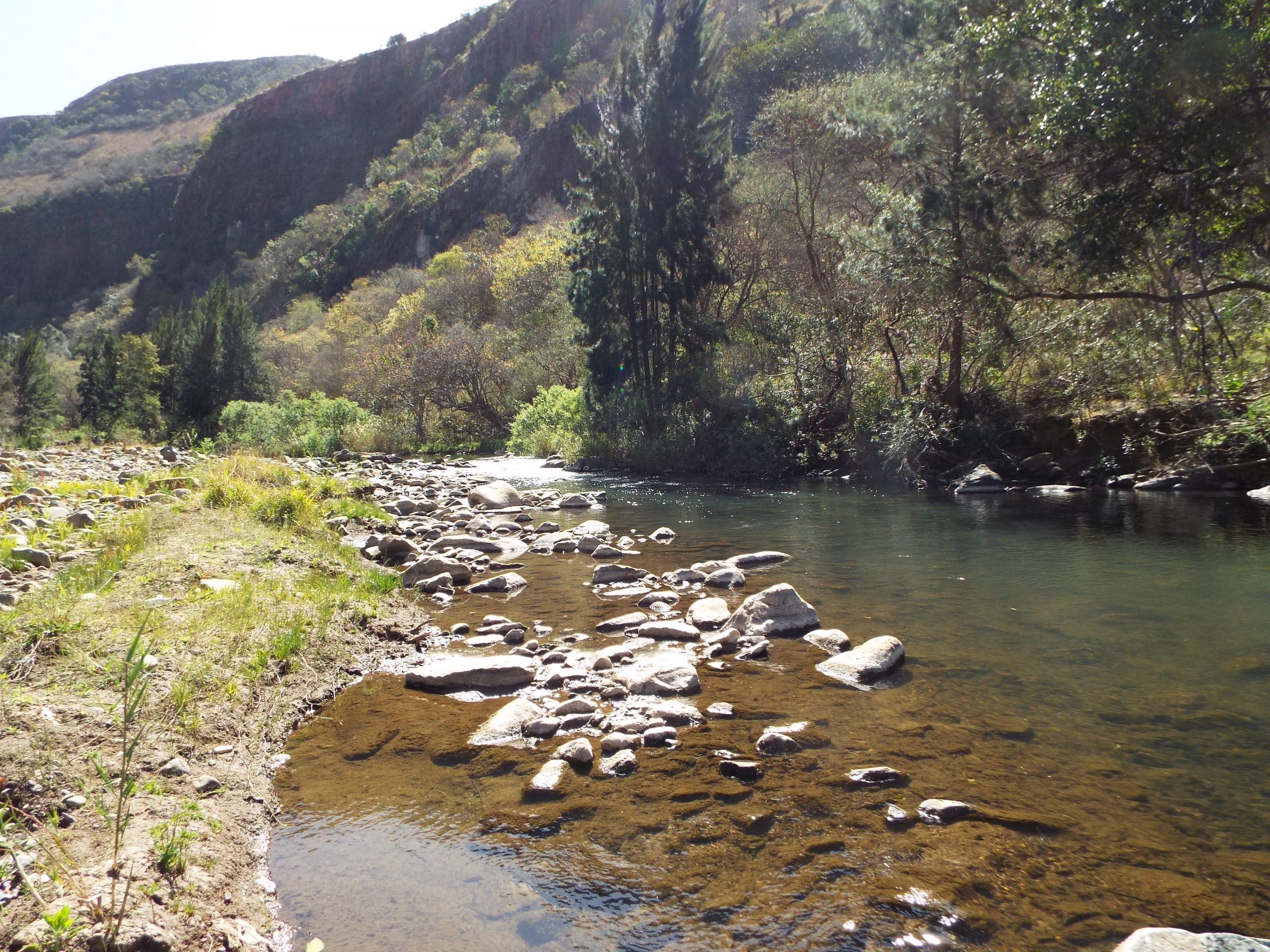 Fishing - Try your luck on the Elands for the small mouthed yellow fish. Trout fishing at nearby establishments.