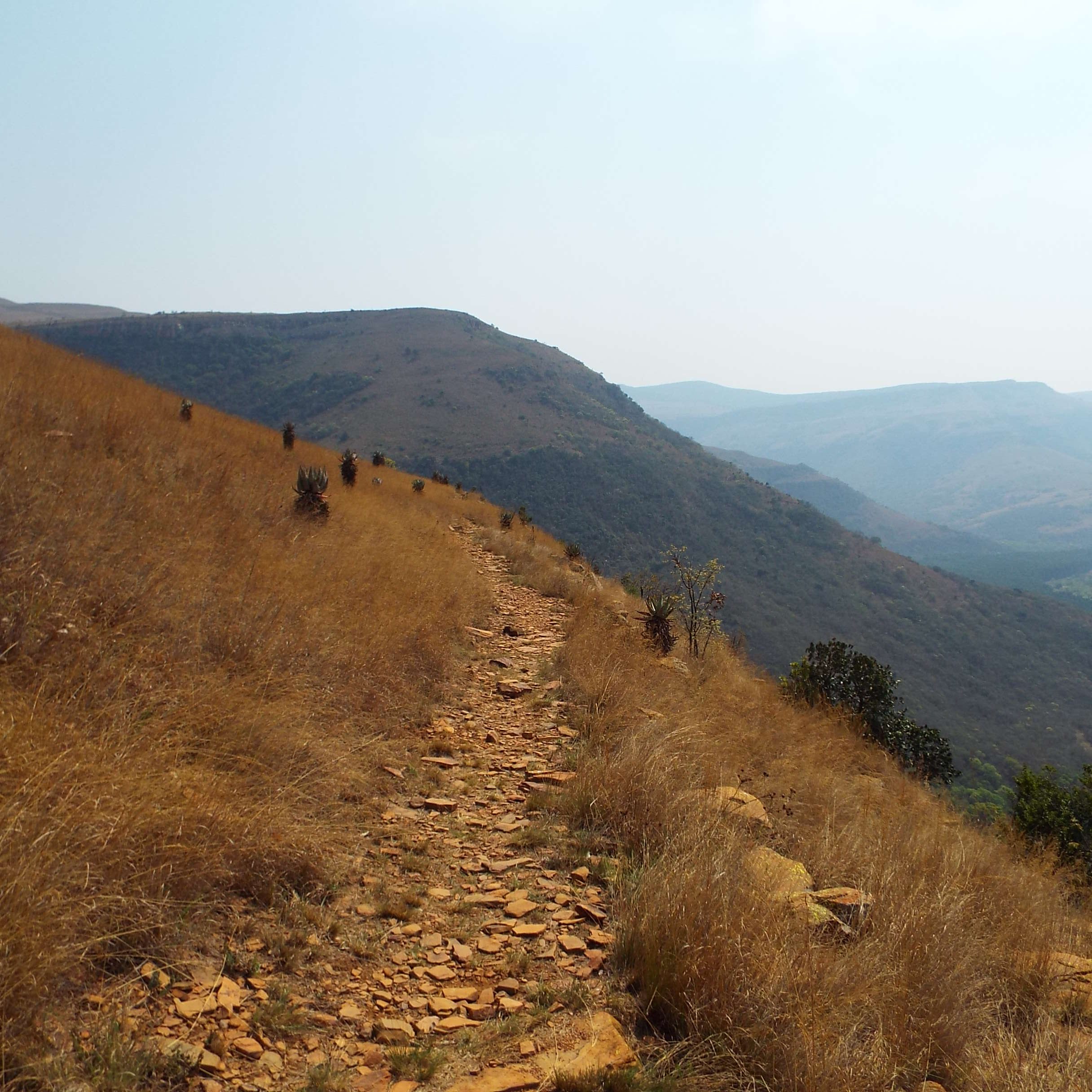 Hiking - There are a number of hiking routes in the area; routes range from easy to extreme.