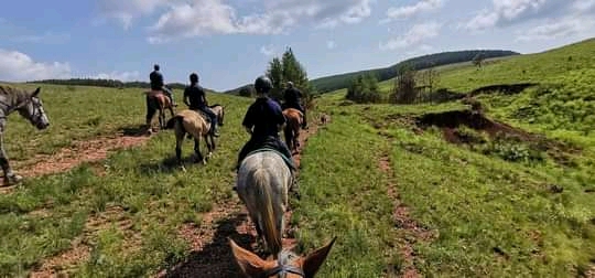 Horse Riding - Nearby